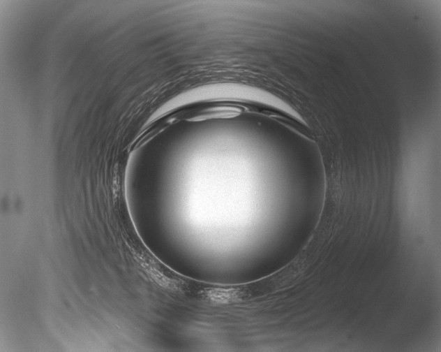 X0000086320085200703301229