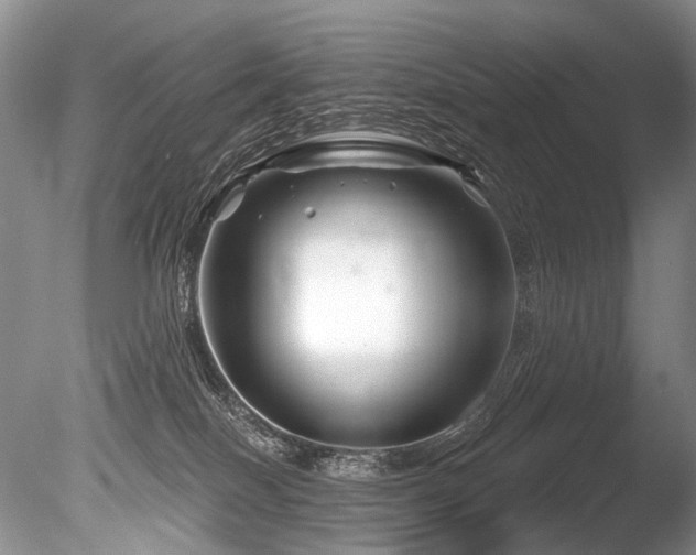 X0000086320086200703301229
