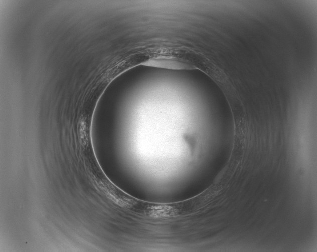 X0000086320087200703301229