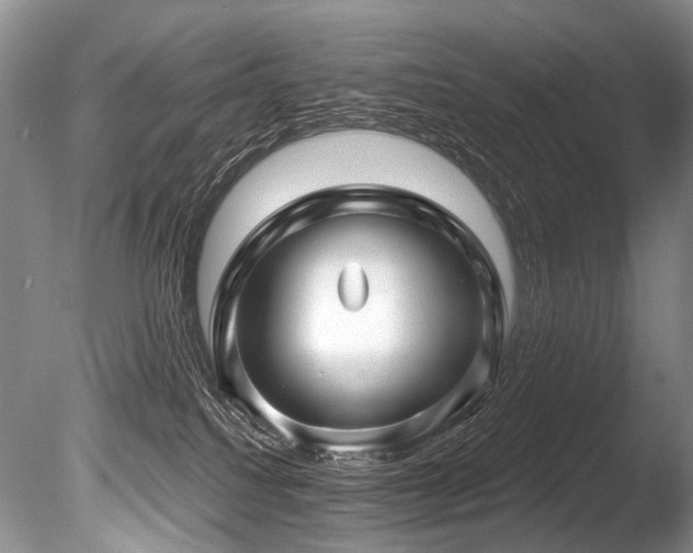 X0000086320088200703301229