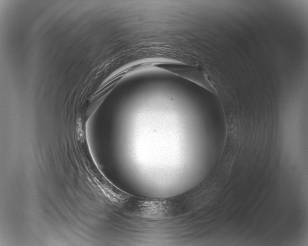 X0000086320089200703301229
