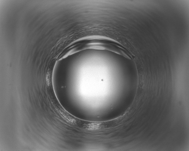 X0000086320090200703301229