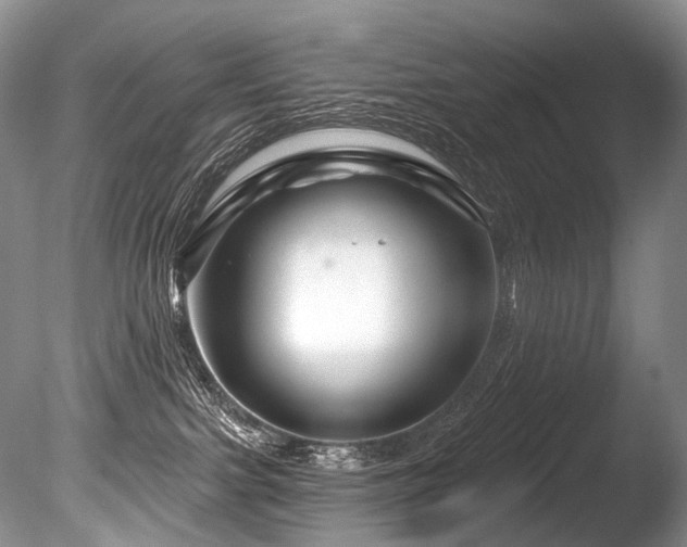 X0000086320091200703301229