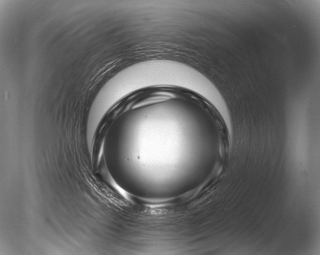 X0000086320092200703301229