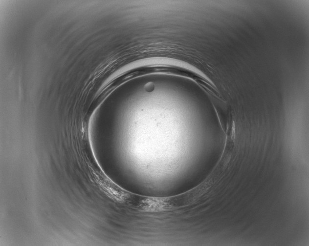 X0000086320093200703301229