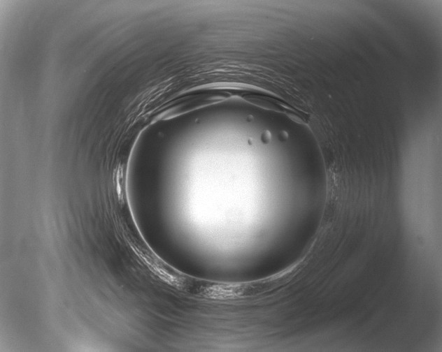 X0000086320094200703301229