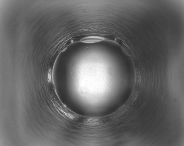 X0000086320095200703301229