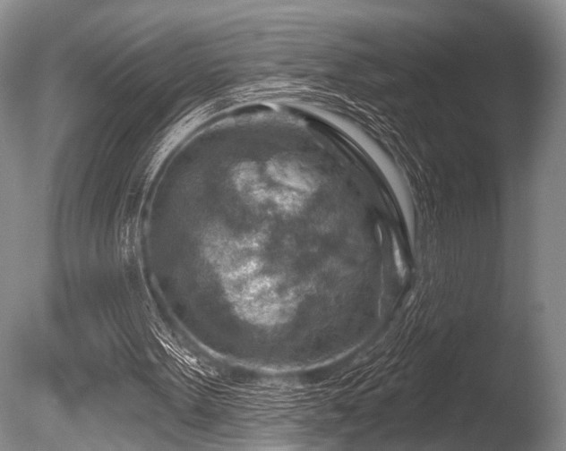 X0000086320099200703301228