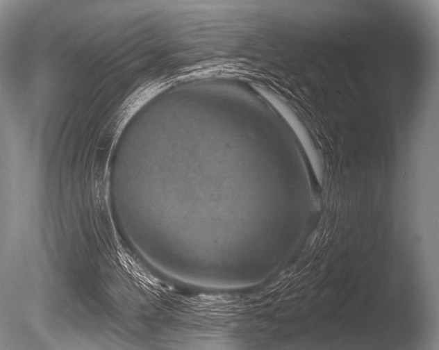 X0000086320100200703301228