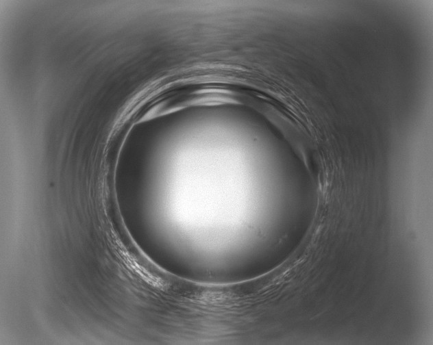 X0000086320101200703301228
