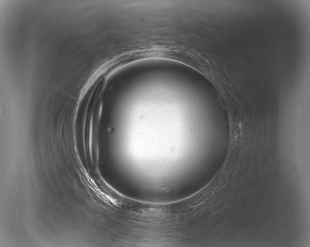 X0000086320102200703301228