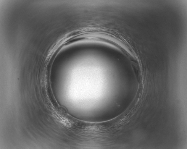 X0000086320103200703301228