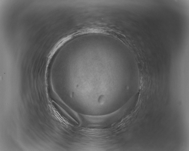 X0000086320104200703301228