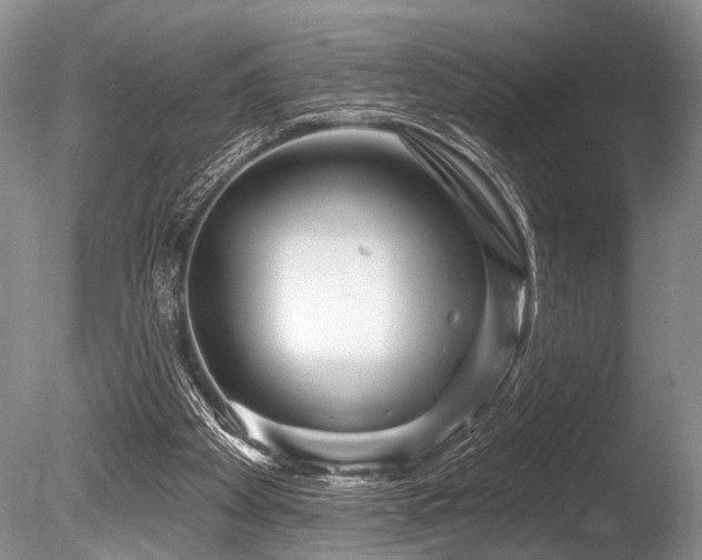 X0000086320105200703301228