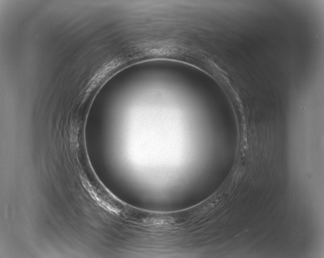 X0000086320106200703301228