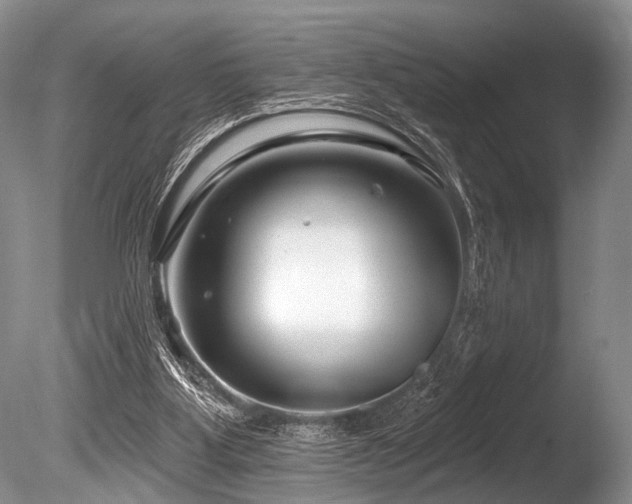 X0000086320107200703301228