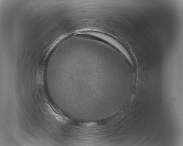 X0000086320108200703301228