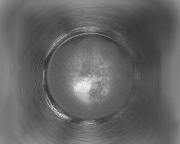 X0000086320110200703301228