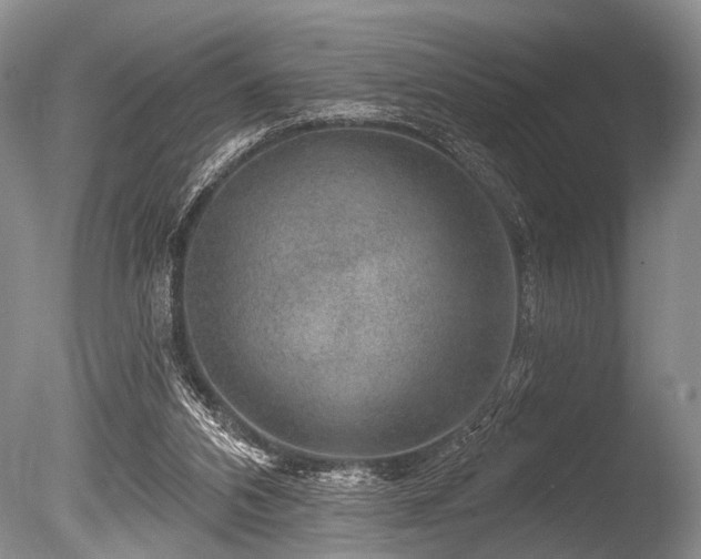 X0000086320112200703301228