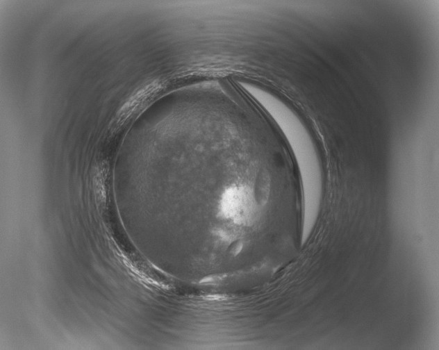 X0000086320114200703301228