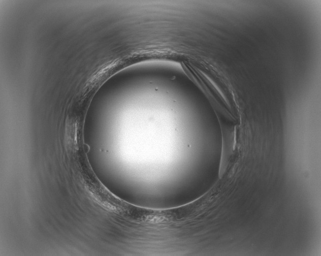 X0000086320115200703301228
