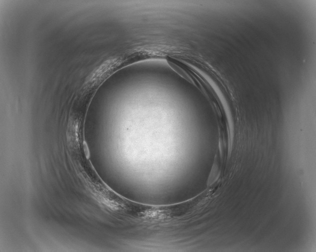X0000086320117200703301228