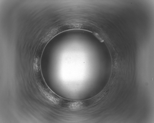 X0000086320122200703301228