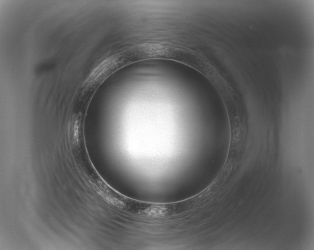 X0000086320124200703301228