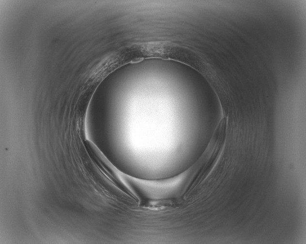 X0000086320125200703301228