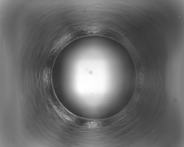X0000086320126200703301228