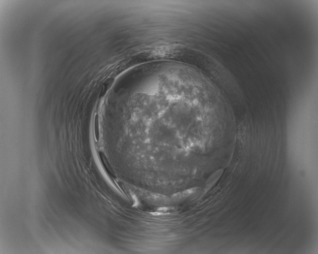 X0000086320127200703301228