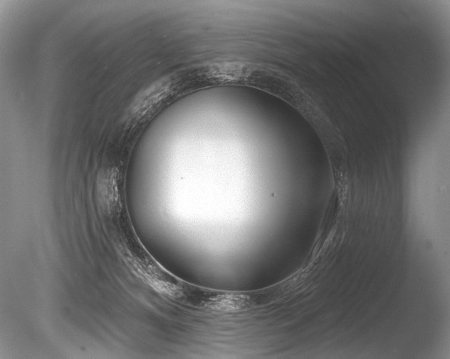 X0000086320128200703301228