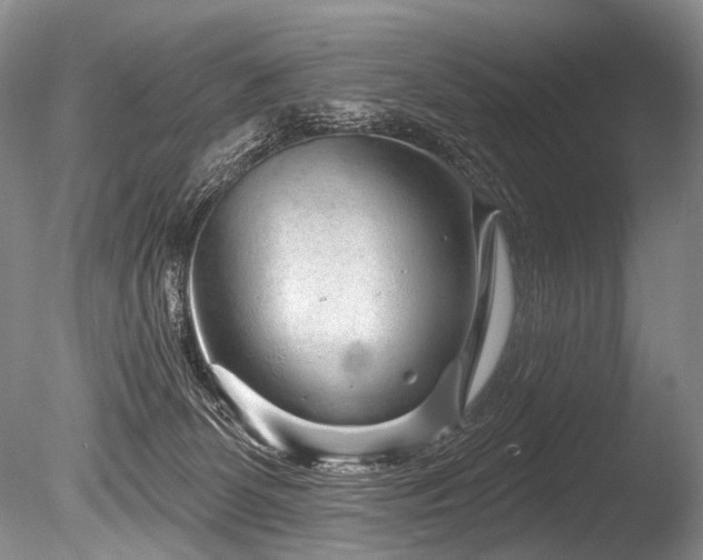 X0000086320131200703301228