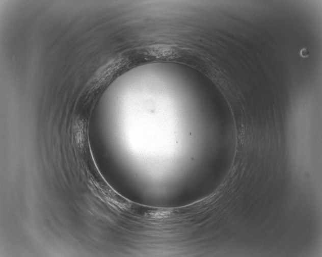X0000086320132200703301228