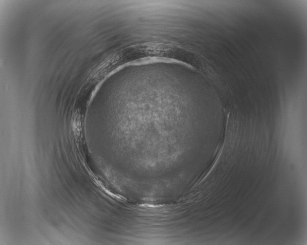 X0000086320137200703301228
