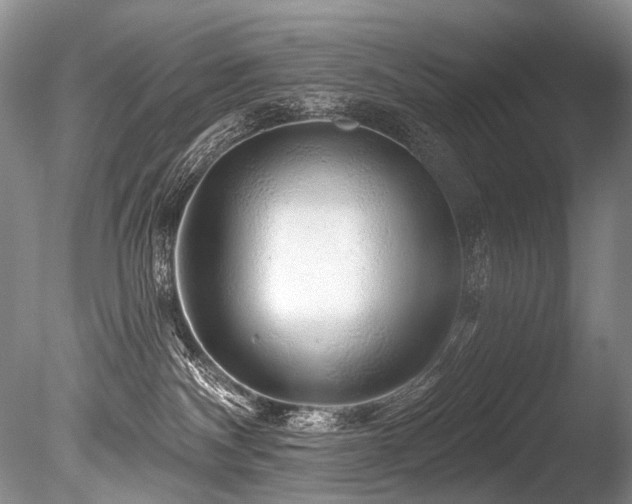 X0000086320140200703301228