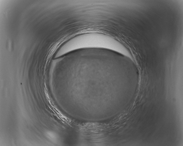 X0000086320145200703301227