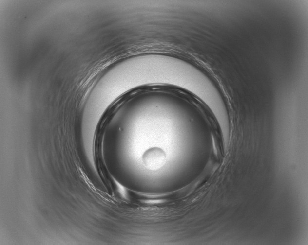 X0000086320154200703301227