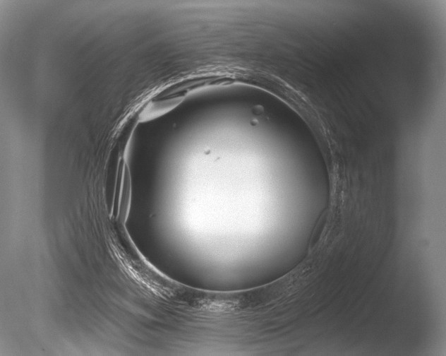 X0000086320155200703301227