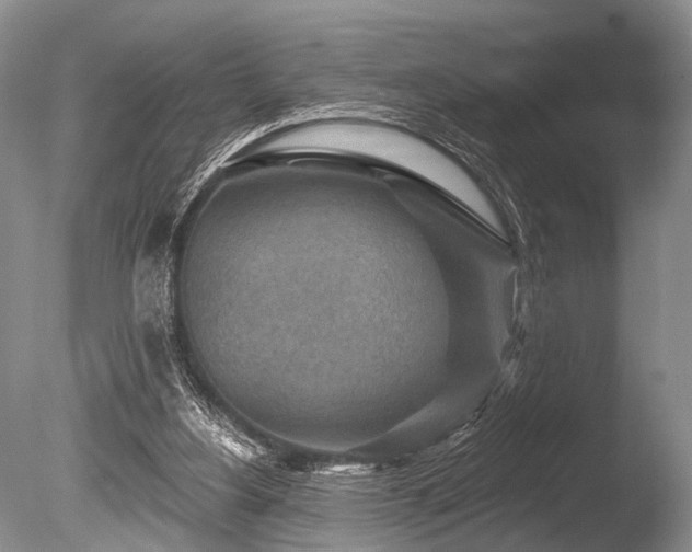X0000086320156200703301227