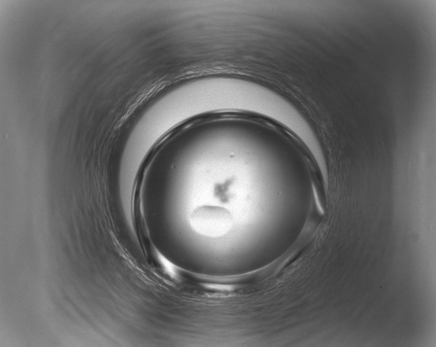 X0000086320158200703301227