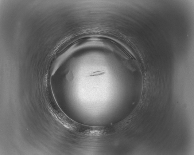 X0000086320163200703301227