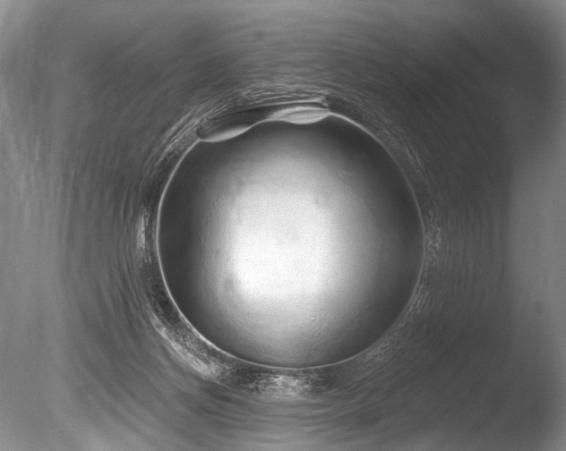 X0000086320166200703301227