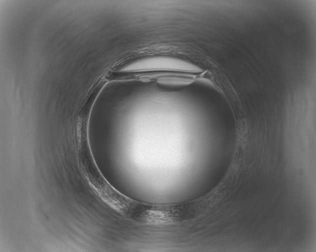 X0000086320167200703301227
