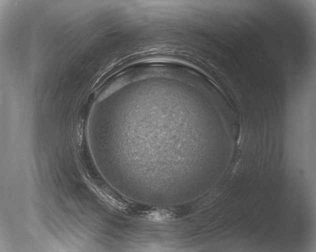 X0000086320168200703301227
