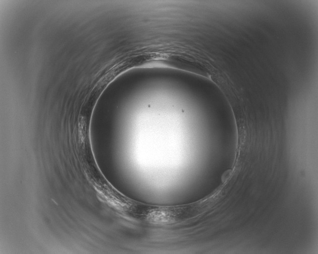 X0000086320174200703301227