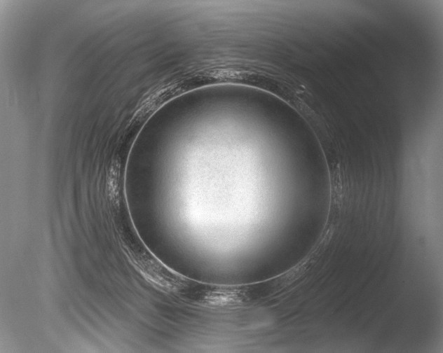 X0000086320175200703301227