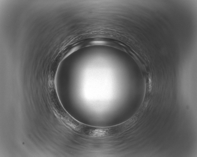 X0000086320176200703301227