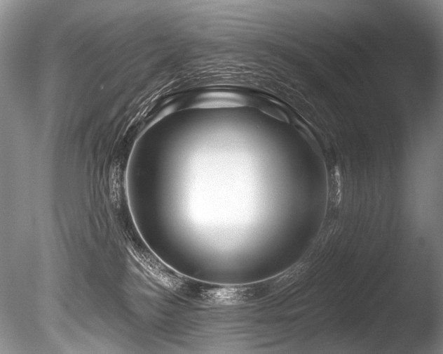 X0000086320184200703301227