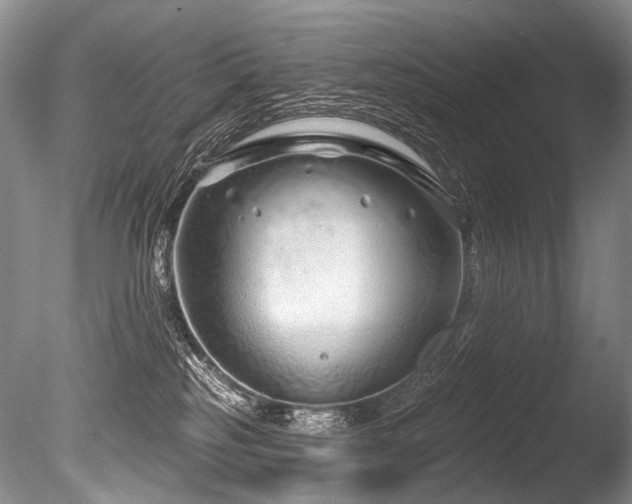 X0000086320185200703301227